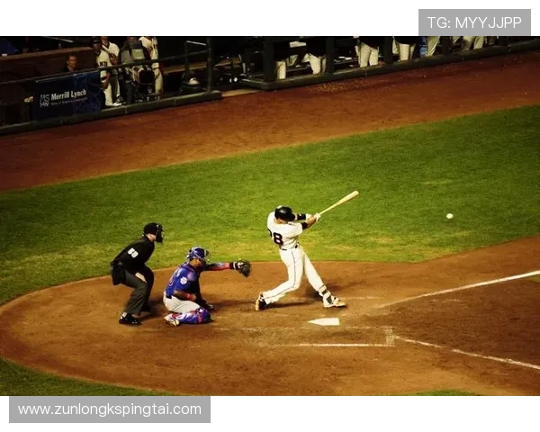 拥抱尊龙凯时人生就是搏带来的机遇与挑战