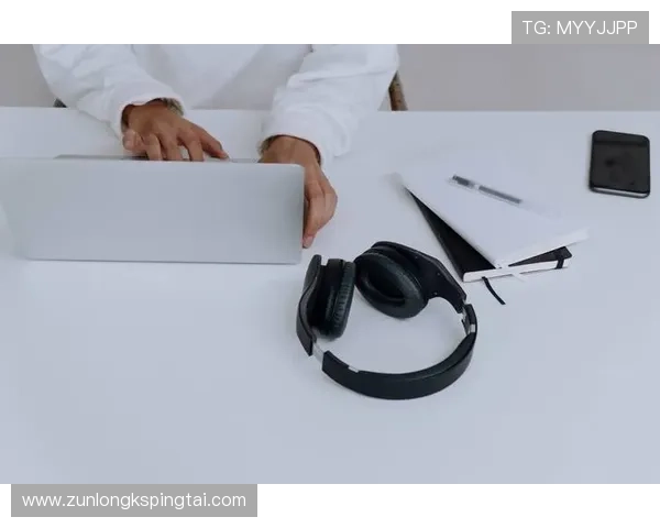 尊龙时凯人生官网电脑版下载官方渠道推荐，确保安全稳定的软件下载体验