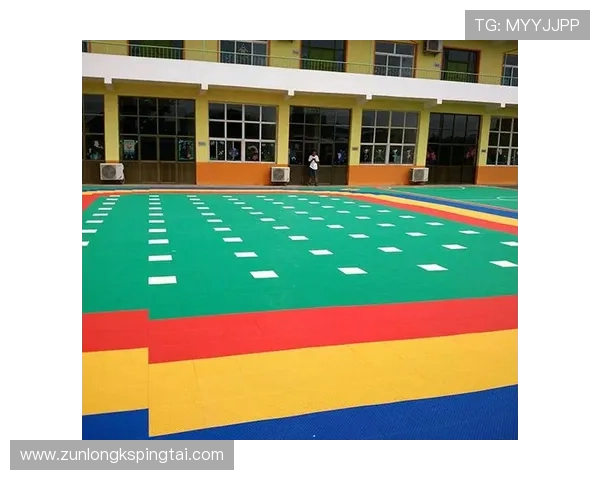 保障尊龙d88国际厅安全的实用技巧与建议，确保玩家账号信息安全无忧