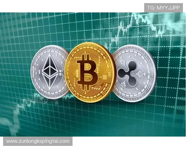 尊龙z6国际站在国际市场的竞争优势与未来发展战略分析