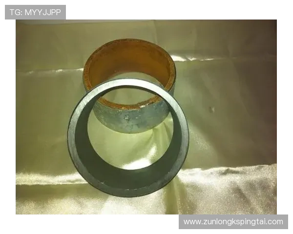 尊龙集团网址常见问题解答及安全访问技巧全面提升您的使用体验