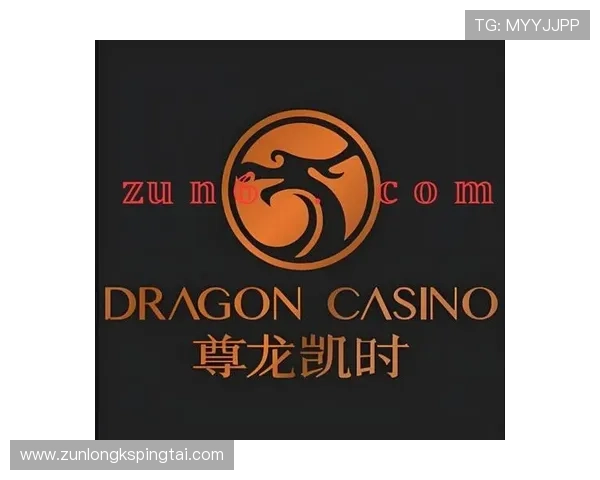 Z6尊龙网站app官方入口推荐，快速注册登录享受丰富游戏资源与优质客服服务